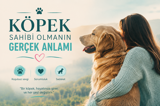 Bir Köpek Sahibi Olmanın Gerçek Anlamı