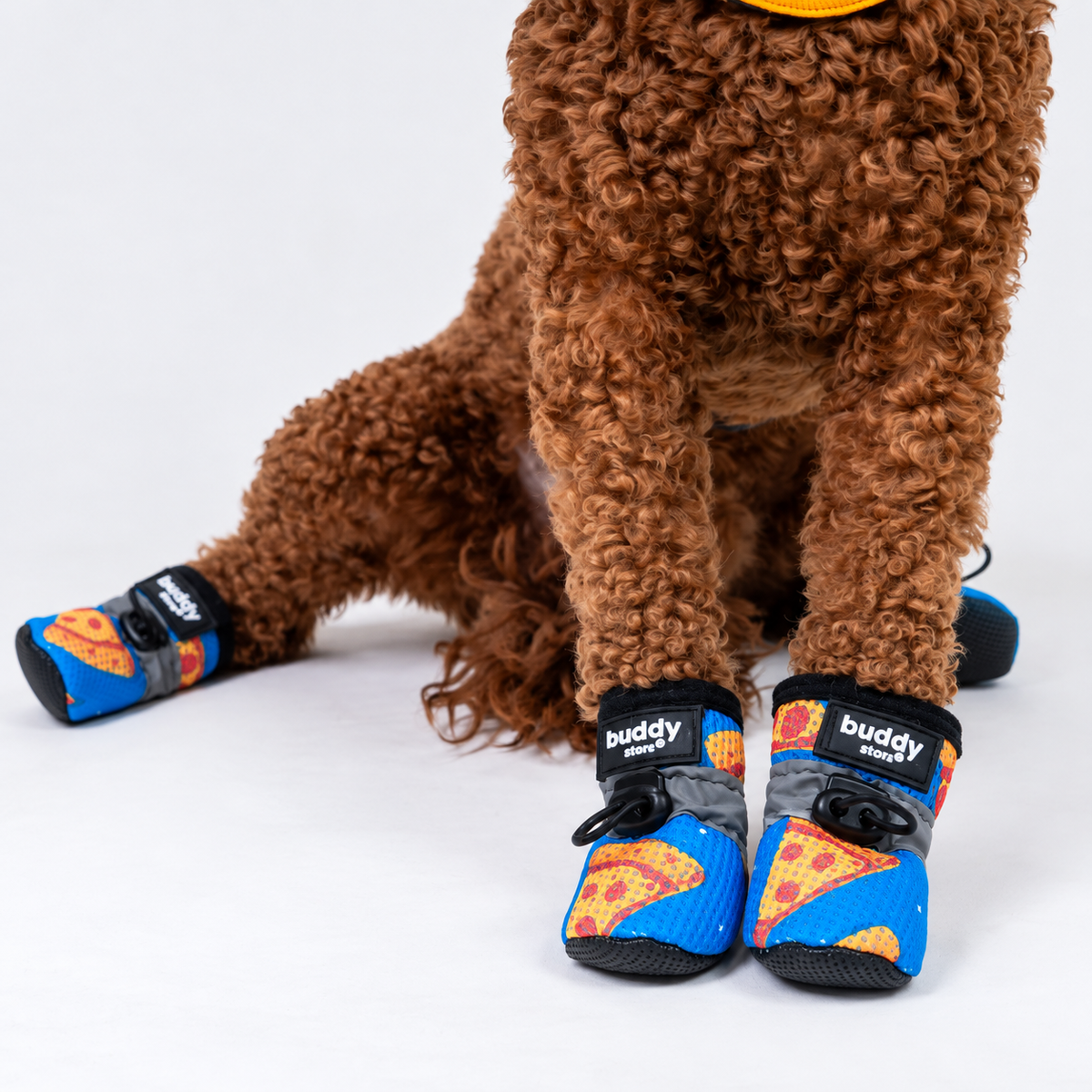Köpek Ayakkabısı
