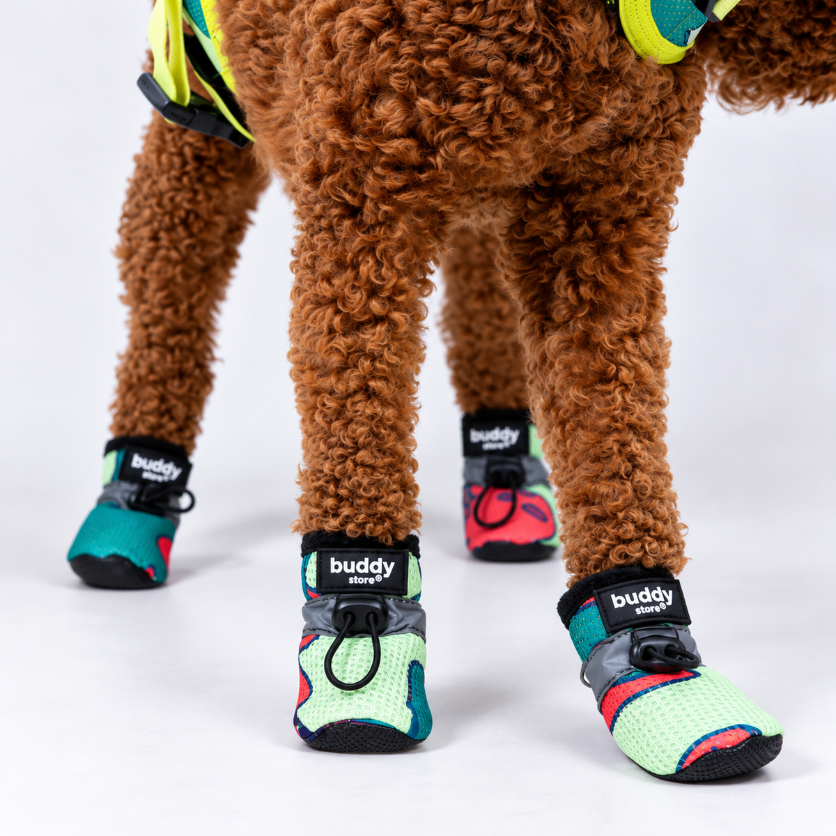 Köpek Ayakkabısı